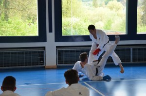 Karate-Lehrgang mit Shinji Nagaki 25.-26. April 2015