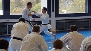 Karate-Lehrgang mit Shinji Nagaki 12. November 2016